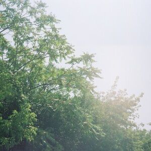 Meet your Posher, Claire